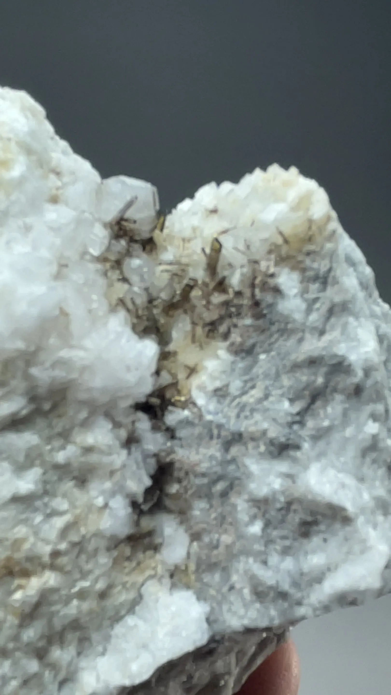 Allanite-Ce with Dolomite, Calcite - image 2
