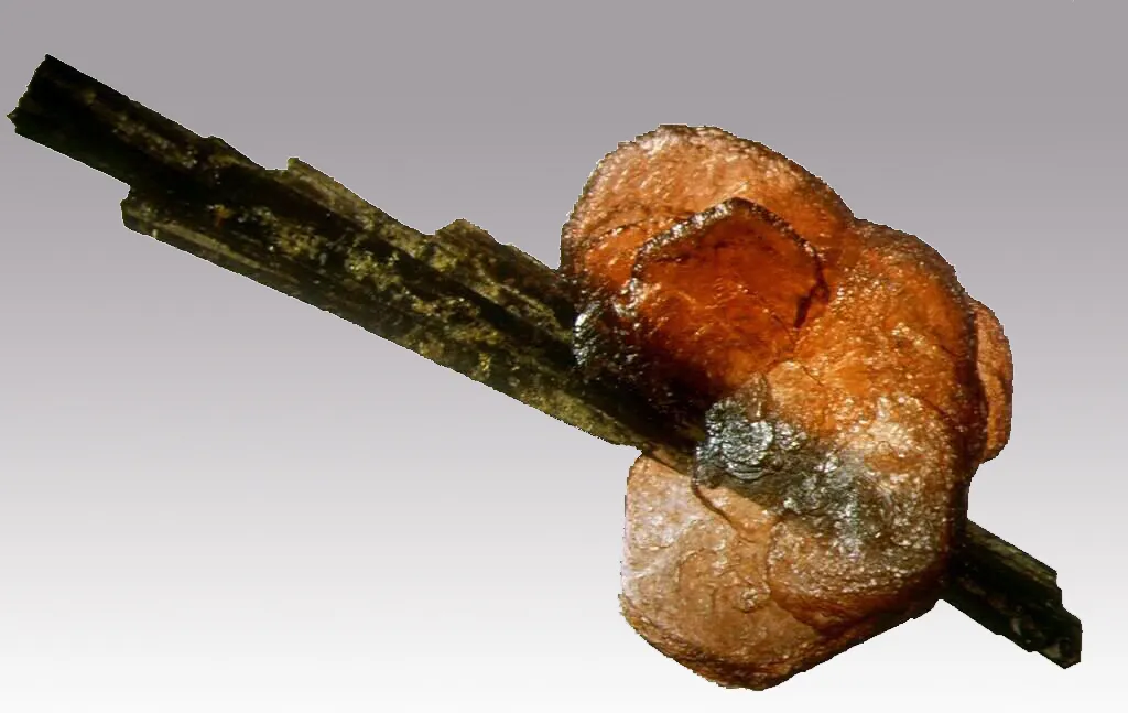 Allanite / Hydroxylbastnäsite, Trimouns, Luzenac, Ariège, France image