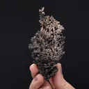 ALLARGENTUM and NATIVE Silver ps. after Dyscrasite - image 2