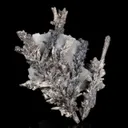 Allargentum and Silver pseudomorph after Dyscrasite - image 3