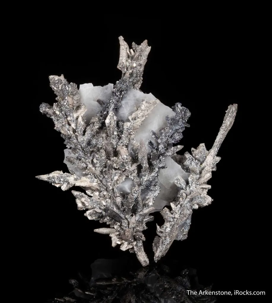 Allargentum and Silver pseudomorph after Dyscrasite image