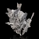 Allargentum and Silver pseudomorph after Dyscrasite - image 1