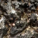 ALLARGENTUM - image 1