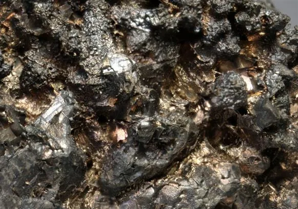 ALLARGENTUM - image 1