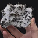 ALLARGENTUM ps. after Dyscrasite - image 2
