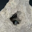 Almandine - image 2
