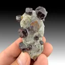 Almandine from Connecticut, USA - image 1