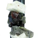 Almandine Garnet, Albite and Muscovite, on Schorl - image 2
