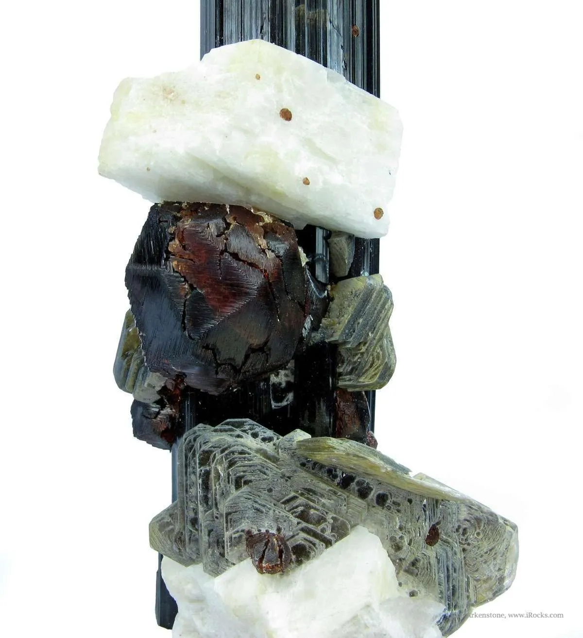 Almandine Garnet, Albite and Muscovite, on Schorl - image 2