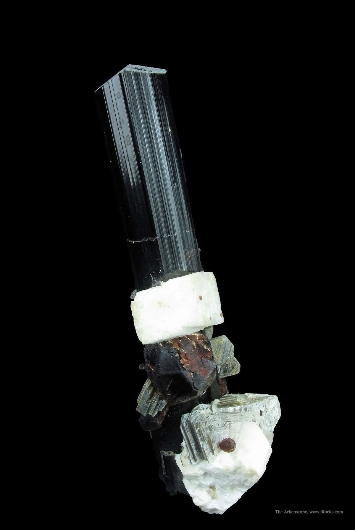 Almandine Garnet, Albite and Muscovite, on Schorl - image 3