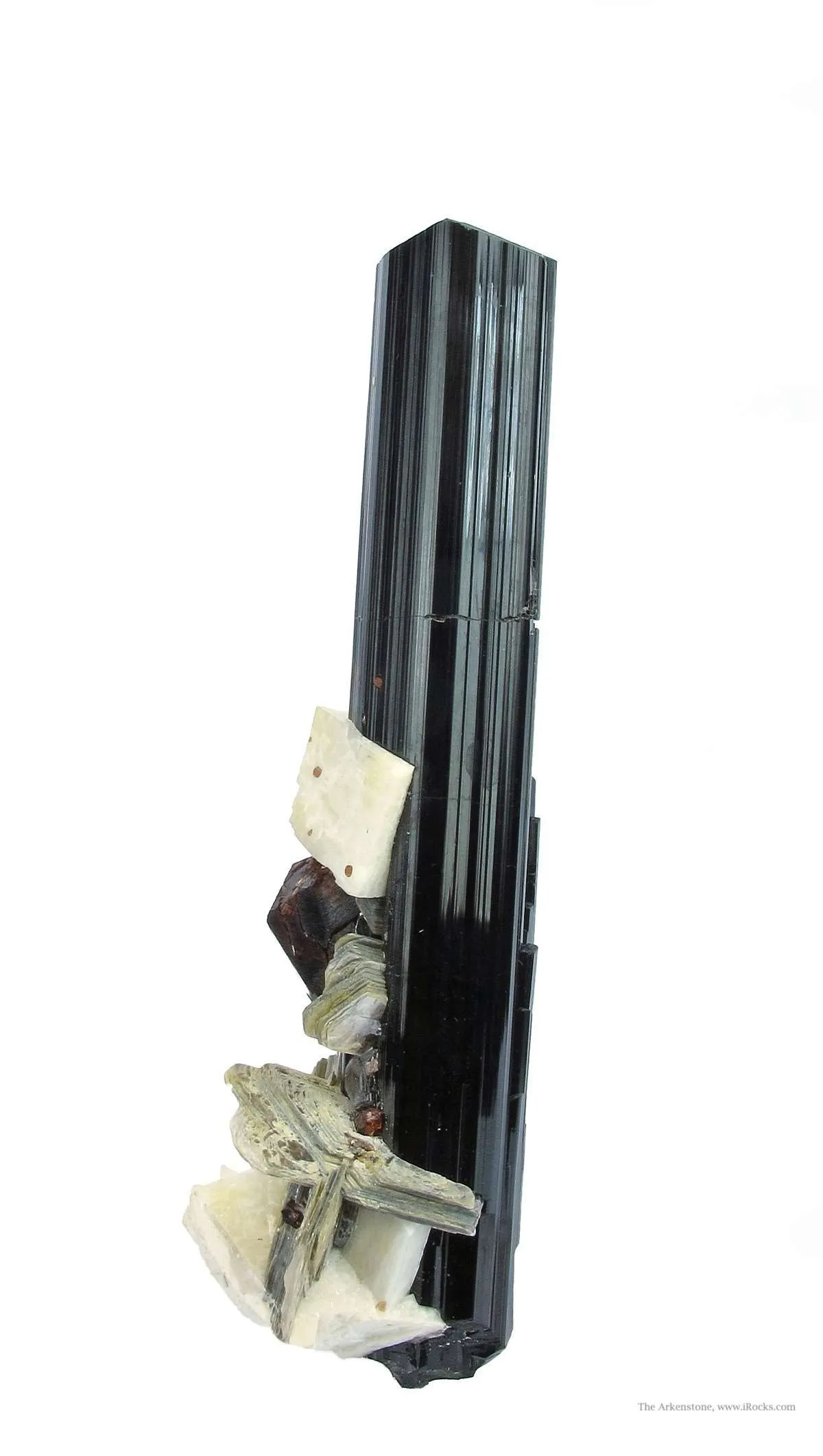 Almandine Garnet, Albite and Muscovite, on Schorl - image 4