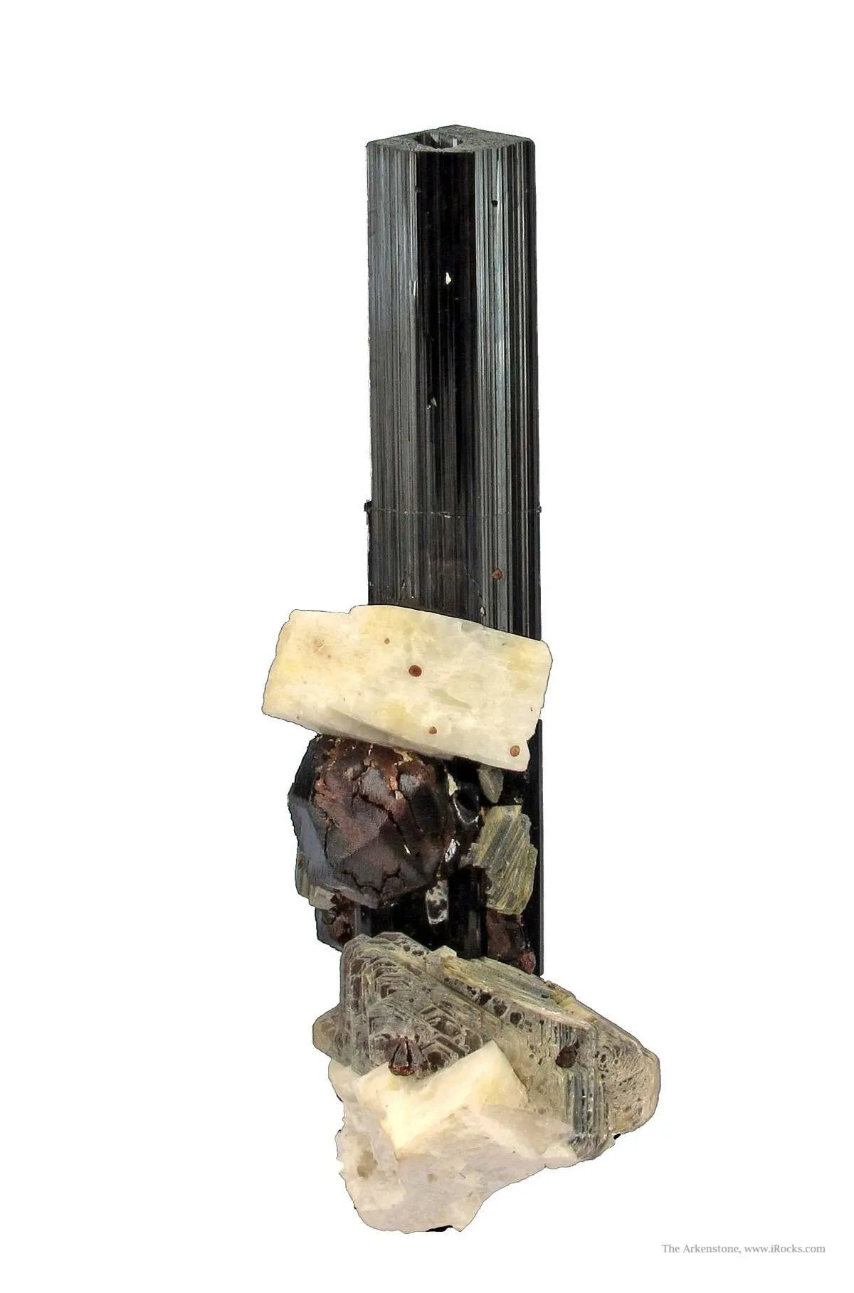 Almandine Garnet, Albite and Muscovite, on Schorl - image 1