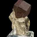 Almandine Garnet on Schist - image 3