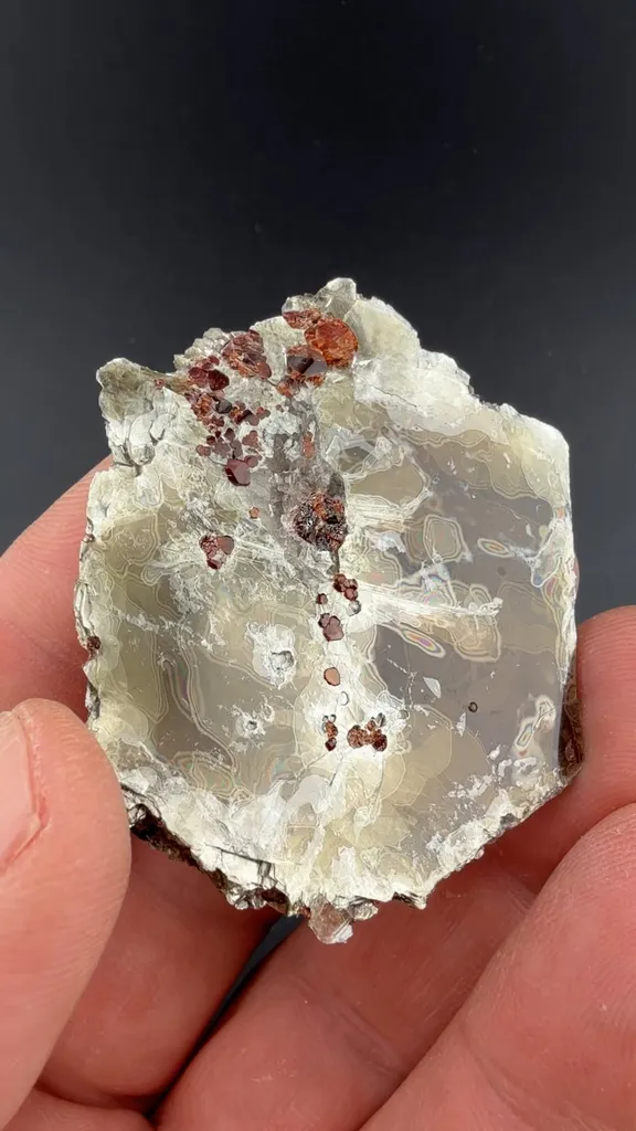 Almandine in Muscovite - image 1