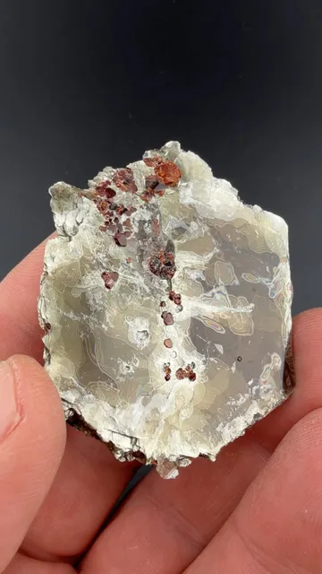 Almandine in Muscovite