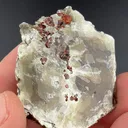 Almandine in Muscovite - image 1
