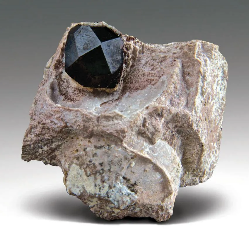 Almandine in rhyolite image