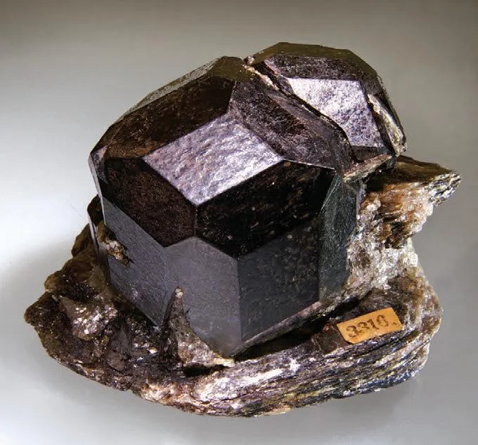 Almandine on Muscovite image