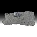 Almandine-Pyrope - image 1