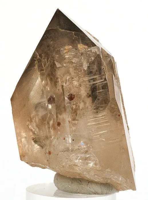 Almandine, Quartz (Var: Smoky Quartz) image