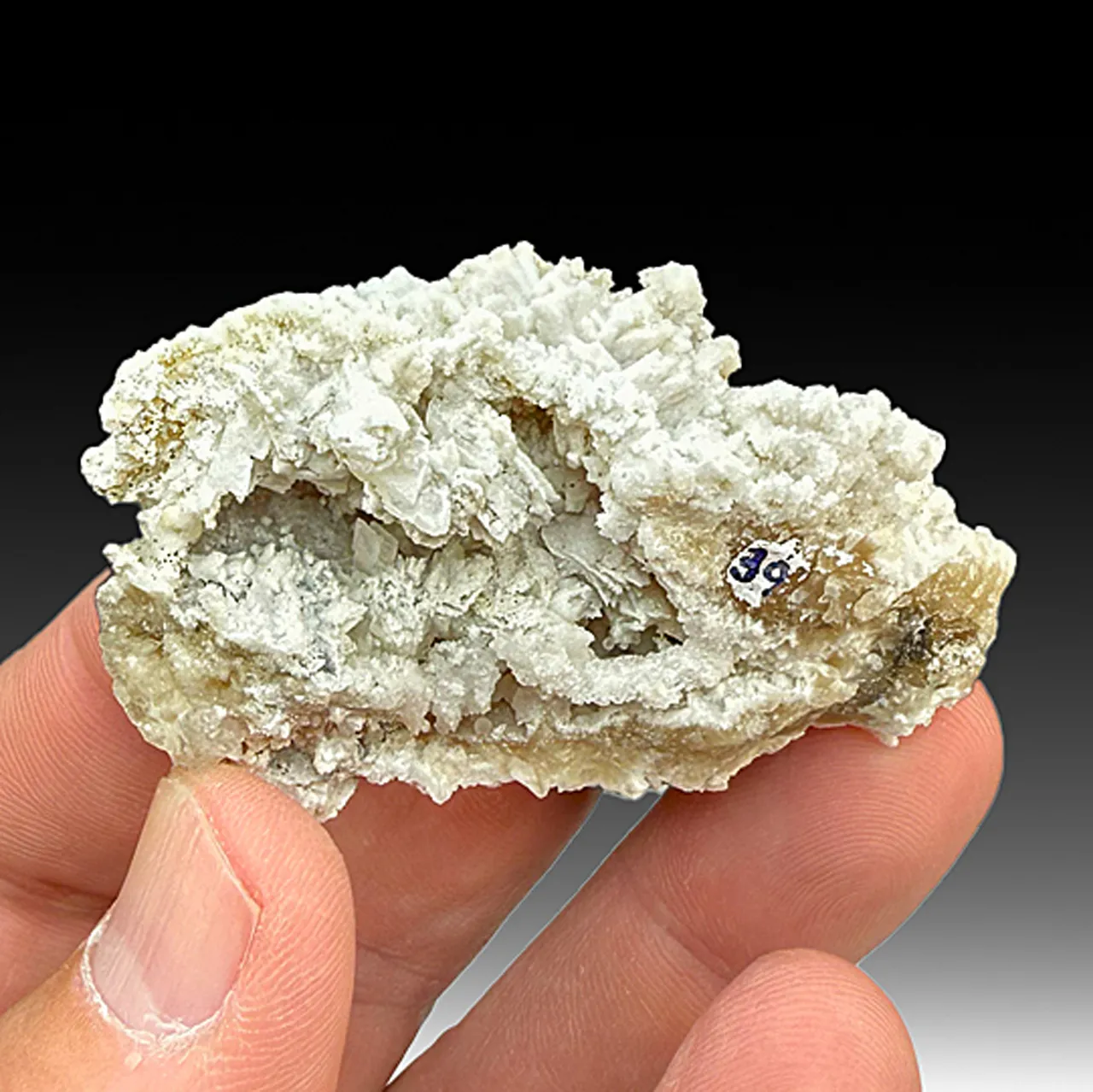 Alstonite with Barite, Witherite - image 1