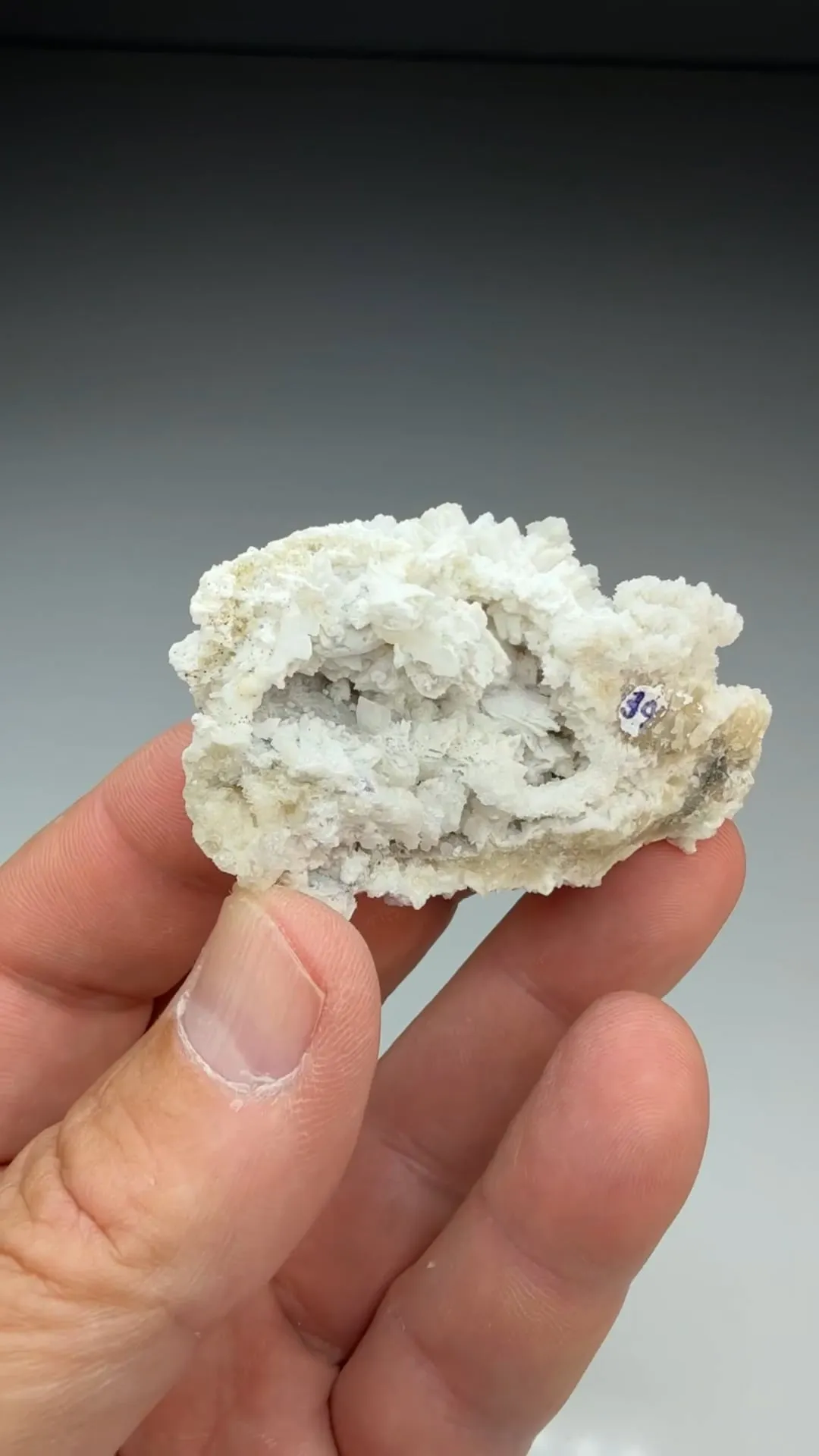 Alstonite with Barite, Witherite - image 2