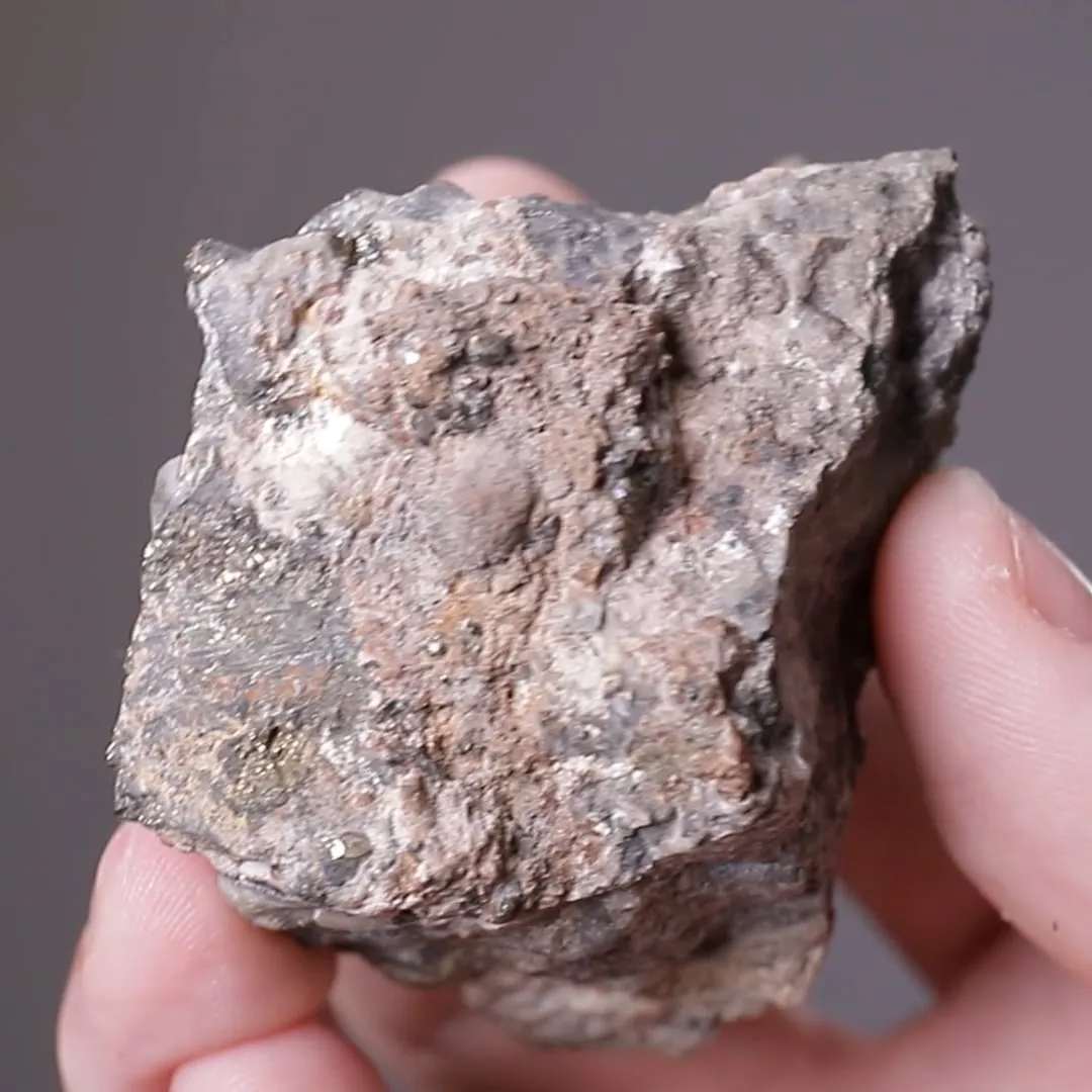 Altaite with Pyrite - image 2