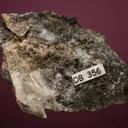 Altaite with Sylvanite - image 3