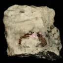 Alumohydrocalcite, Pyrite - image 1