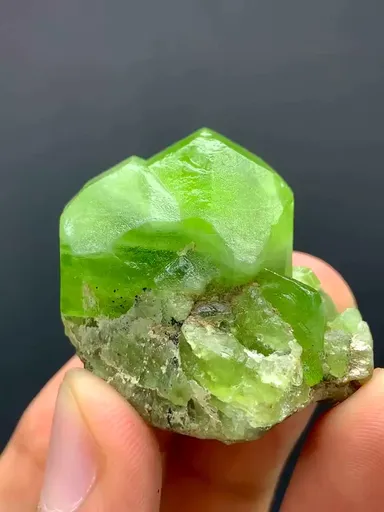 specimen video
