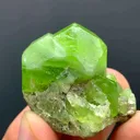 specimen video
