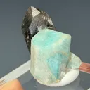 Amazonite from Smoky Hawk claim, Crystal Peak, Teller County, Colorado, USA - image 2