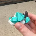 specimen video