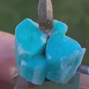 specimen video