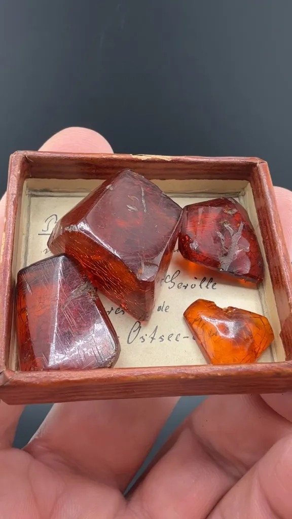 Amber (19th Century) image