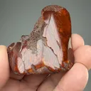 Amber - image 1