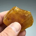 Amber from Colombia - image 2