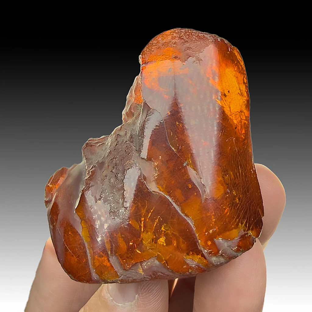 Amber from Kaliningrad, Russia - image 1