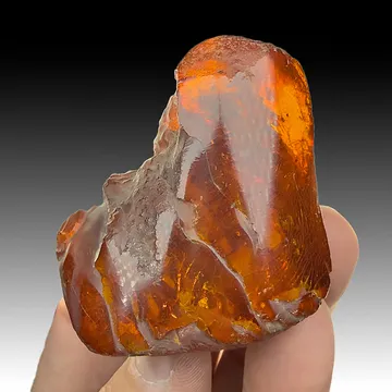 Amber from Kaliningrad, Russia