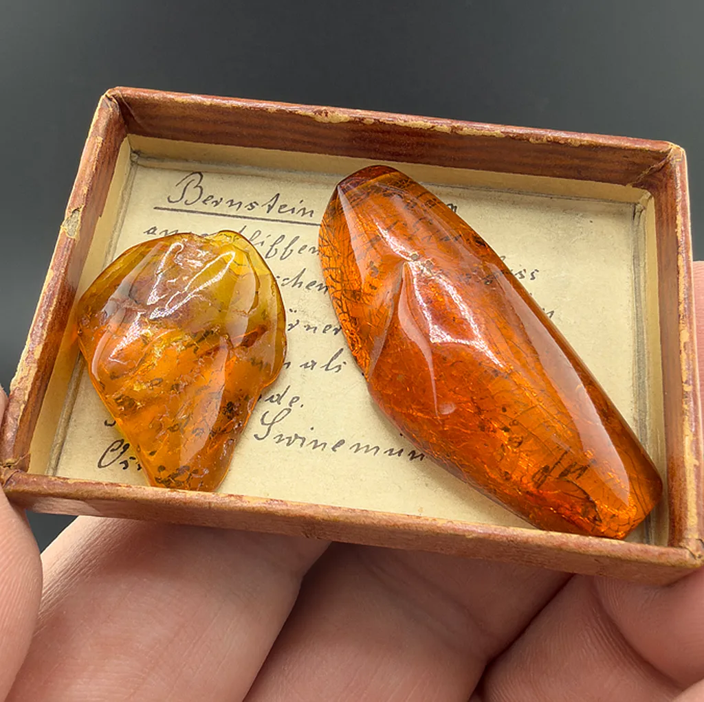Amber from Swinoujscie, Poland image