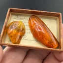 Amber from Swinoujscie, Poland - image 1