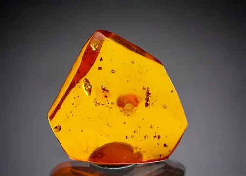 Amber with insect