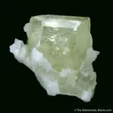 Amblygonite (twinned) with Albite - image 2