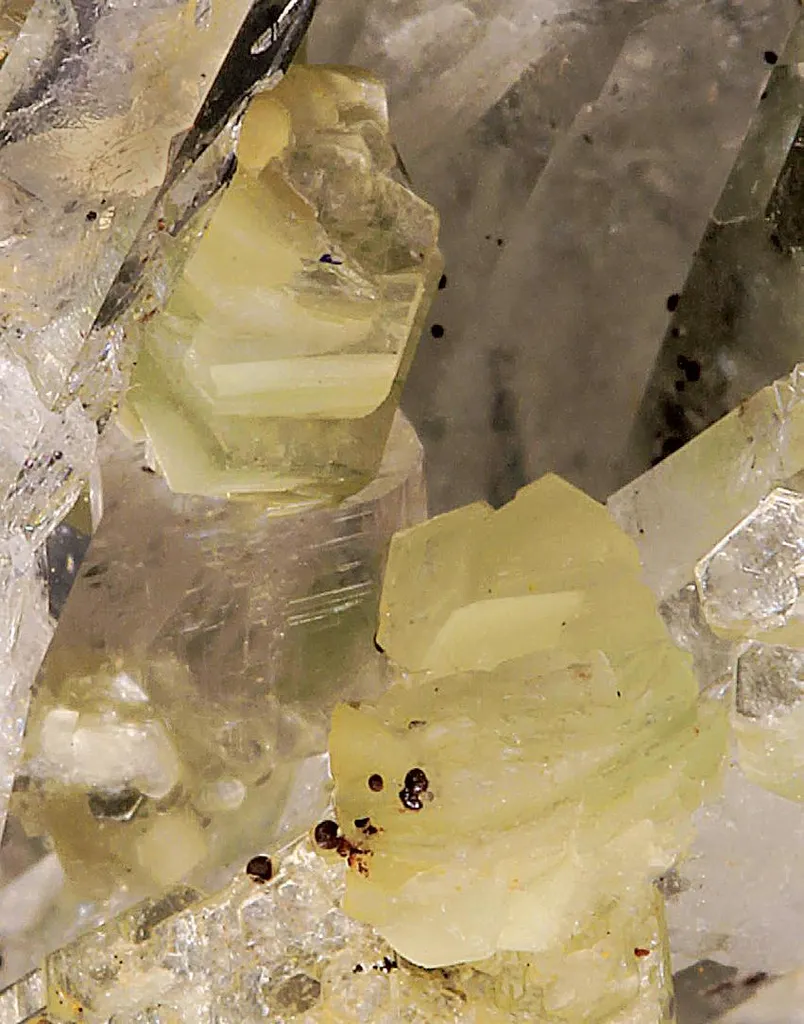 Amesite, Quartz, Magnesite, Goethite image