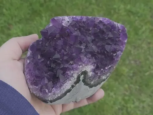 specimen video