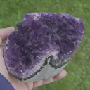 specimen video