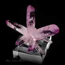 Amethyst - image 2