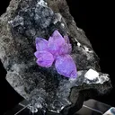 Amethyst - image 6