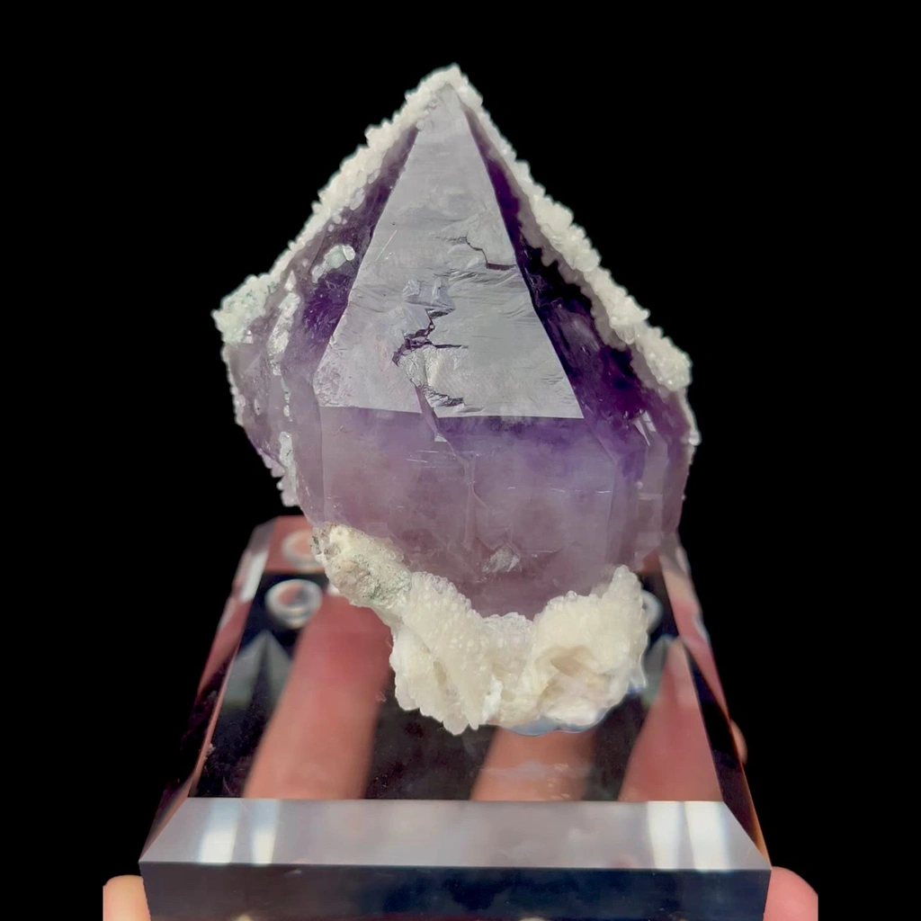 specimen video