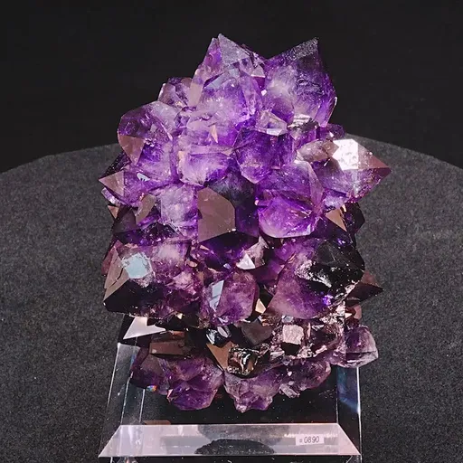specimen video